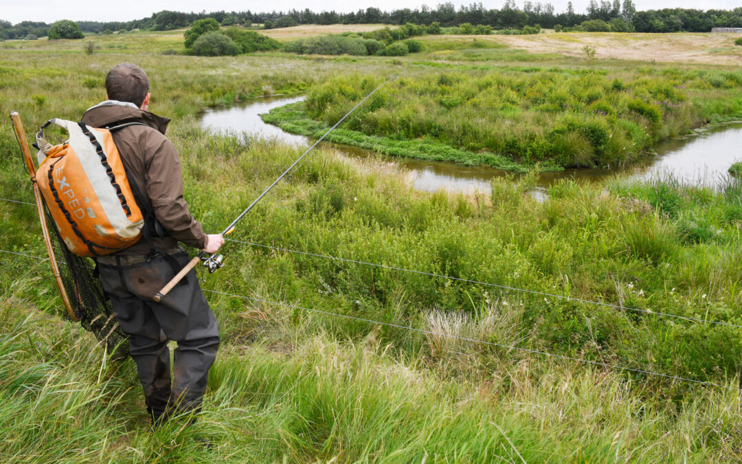 Lystfisker Danmark søger projekleder til vandpleje arbejde