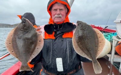 FINT GANG I DE FLADE PÅ ØRESUND