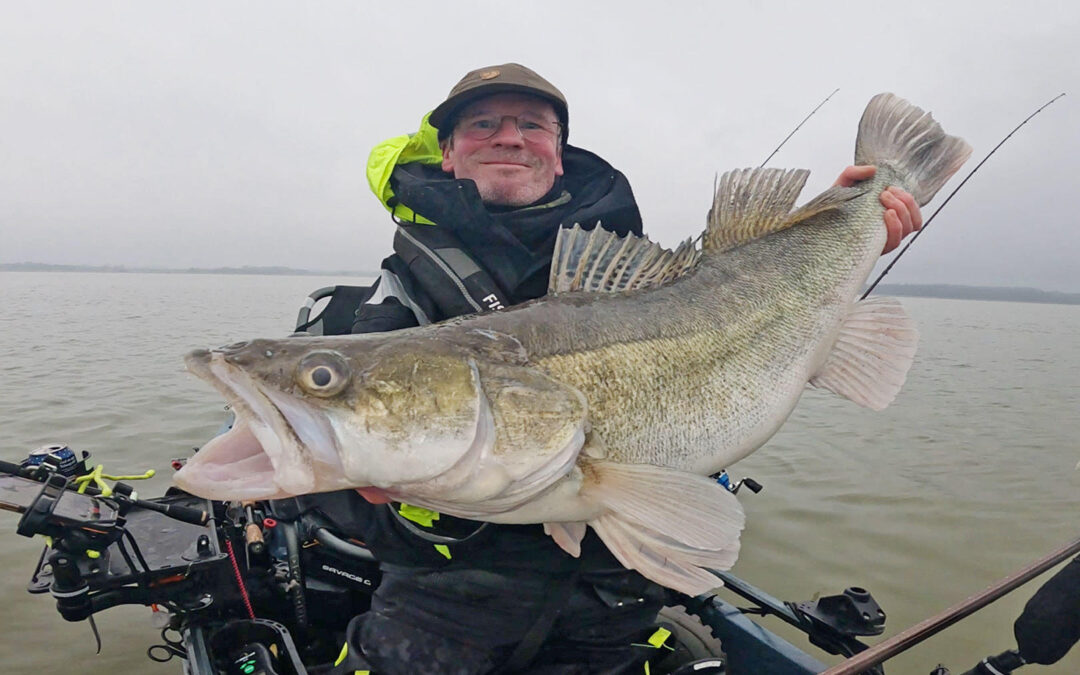 Jens Bursell med en flot sandart taget på livecast med en Westin ShadTeez Slim.