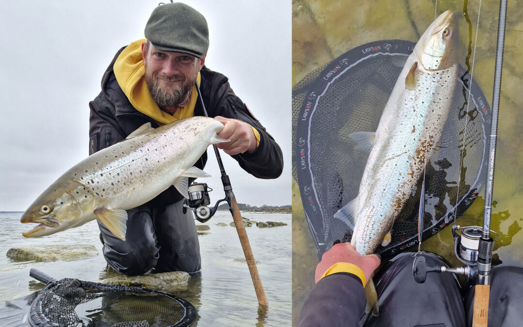 Kasper Weidick Iversen med sin flotte havørred fra Gotland.