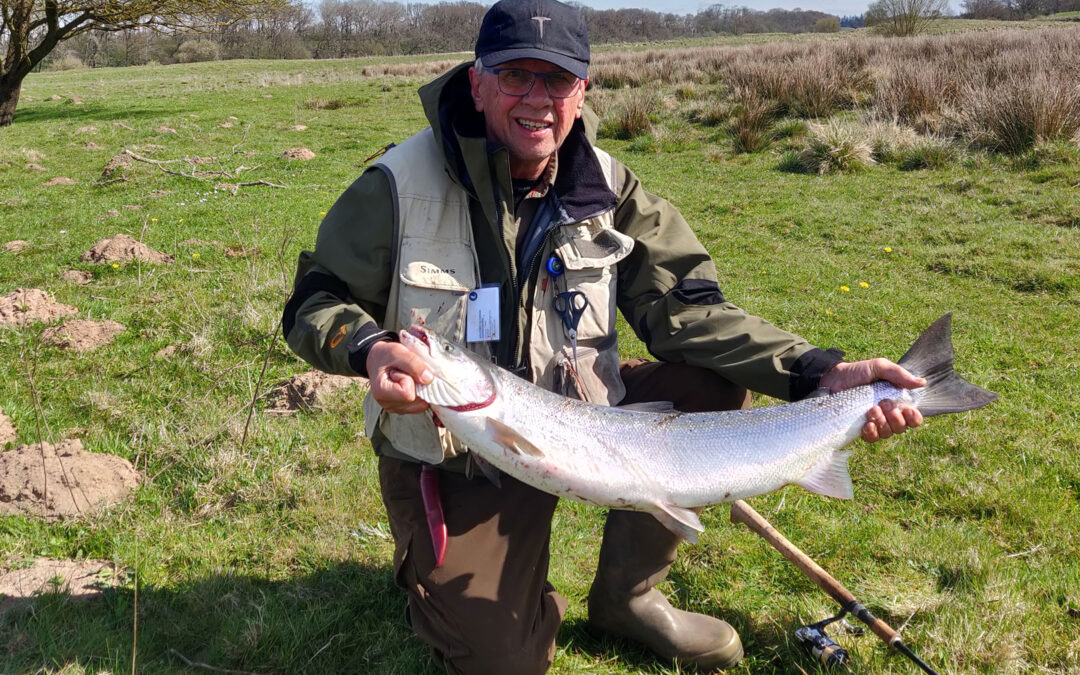 Per Bruun med sin flotte laks fra Bur-stykket ved Storpåen