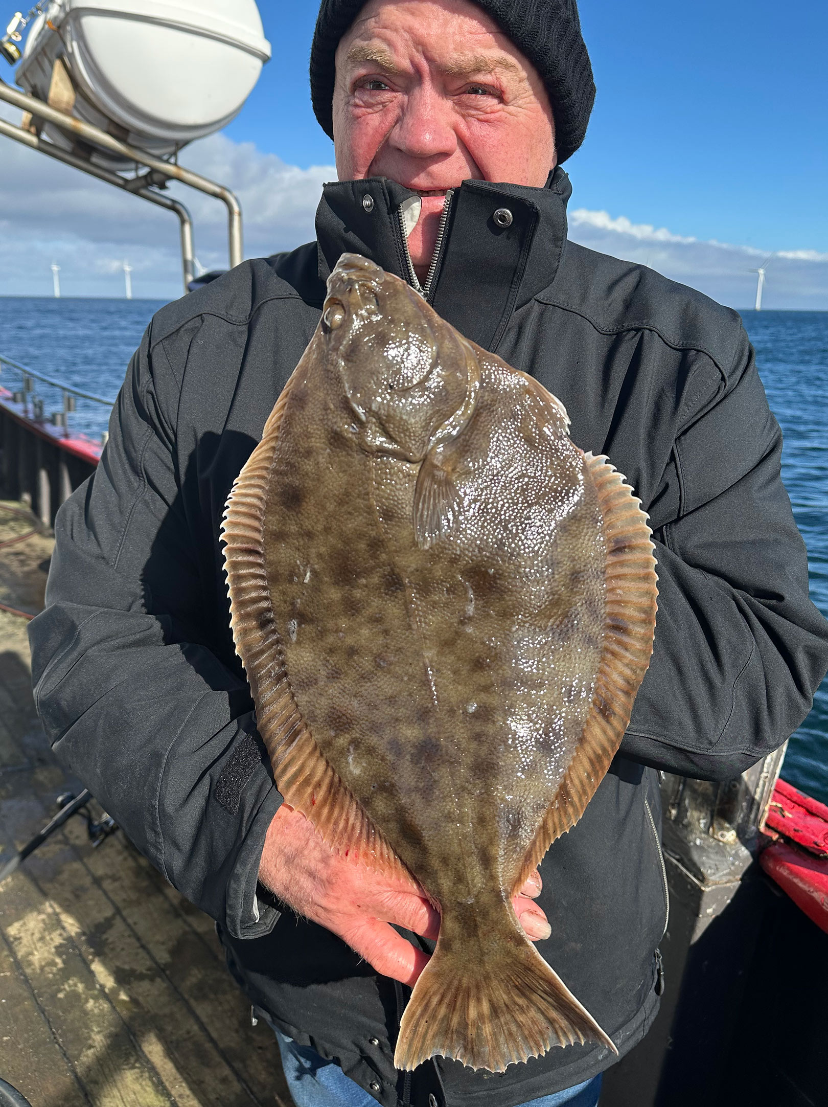 Der er masser af fine fladfisk at fange på Øresund lige nu