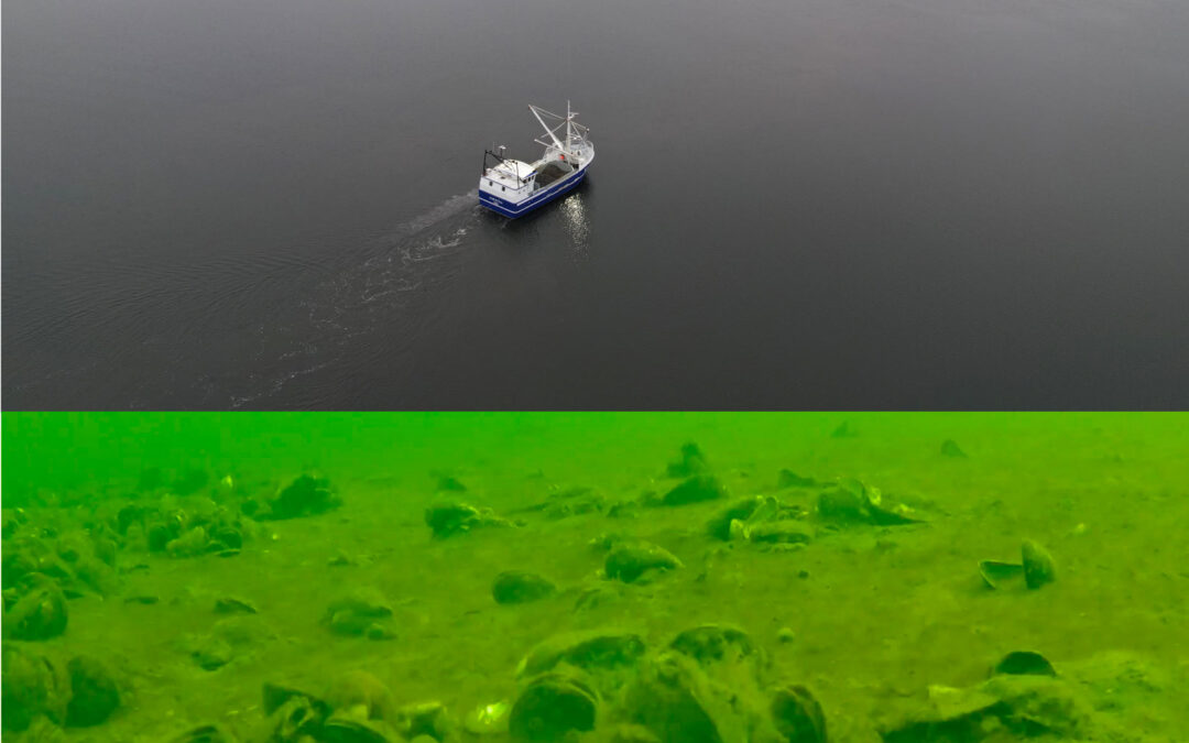 stop muslingeskrab - Red Isefjorden