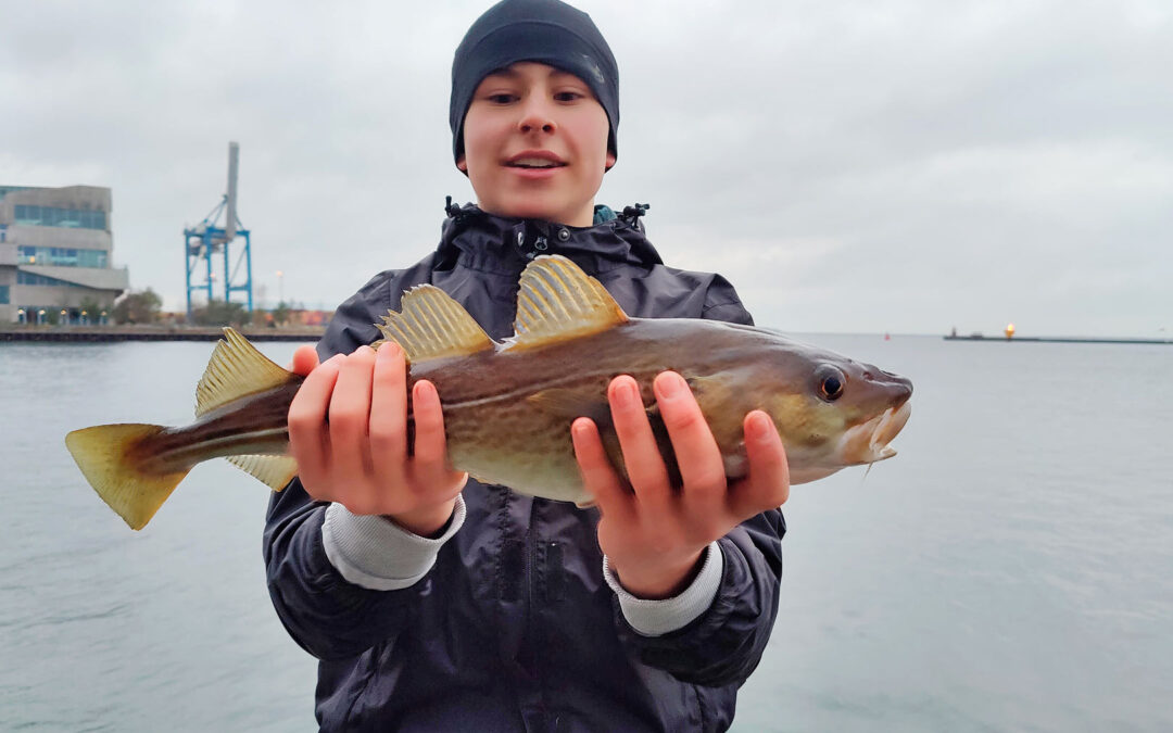 Axel Christensen med sin fine torsk fra Københavns Havn