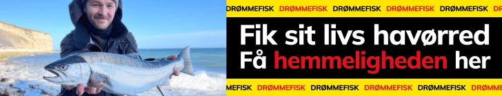 Mads havørred hemmelighed bag danske lystfiskeri fiskegetn