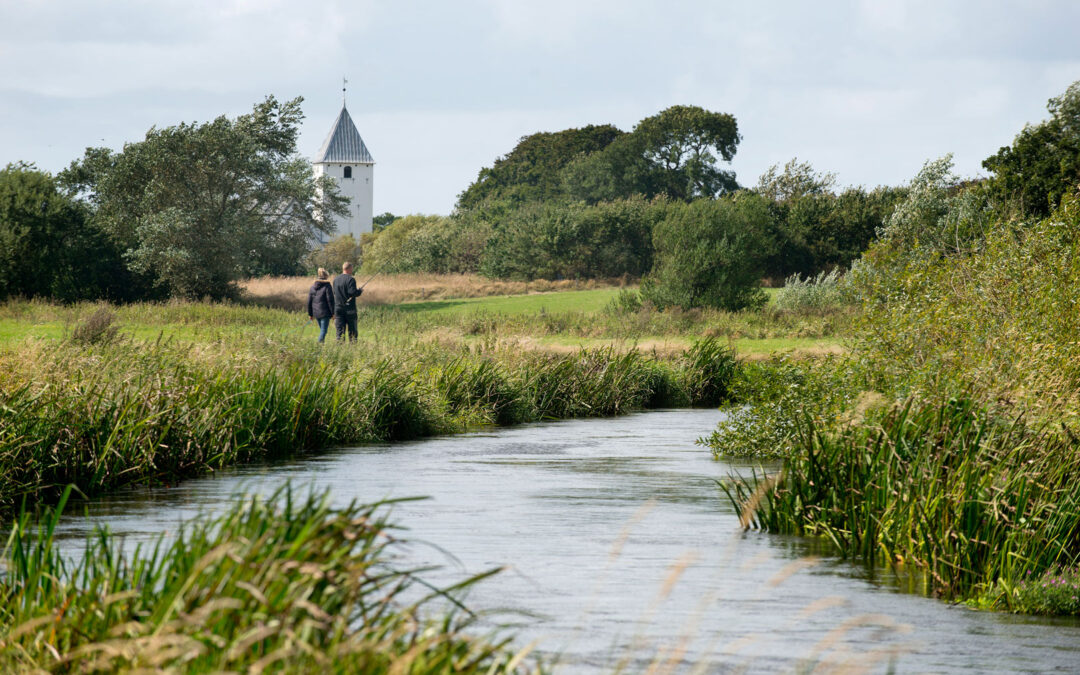 Naturfonden arbejder på et stort naturgenopretningsprojekt med at få genslynget de nederste tre kilometer af Kongeåen ud til Vadehavet.