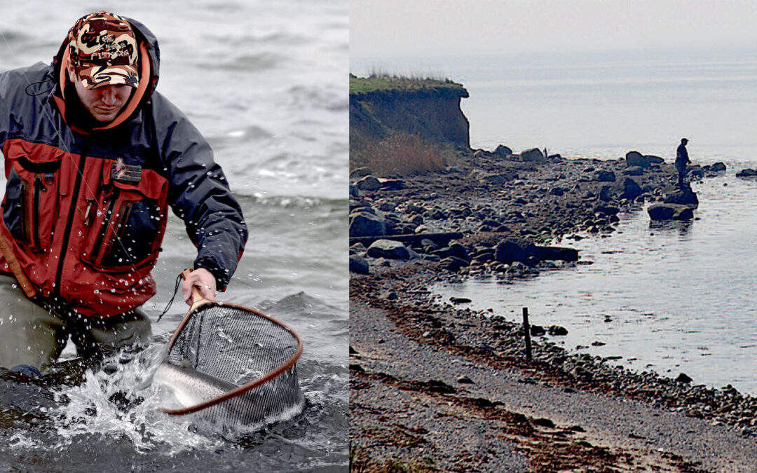 at lande en fisk der faldt for tidligere tiders lokalfavorit – Den Fynske Kystwobler.