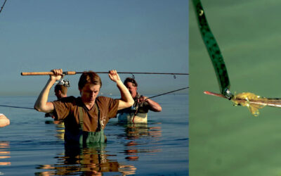 UL-SPIN: HORNFISK PÅ DEN LETTE MÅDE