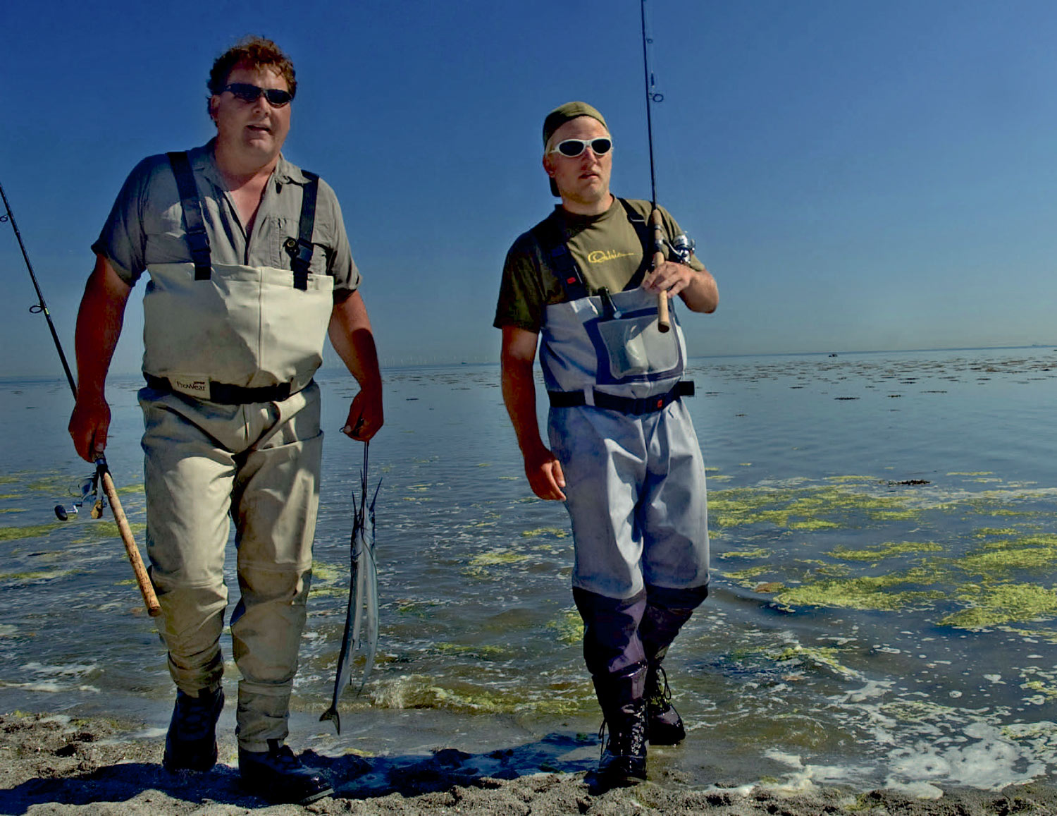 Der skal vades langt ud – oglangt ind igen når man fisker hornfisk på Dragør Sydstrand. Her er det et par af gutterne, der bruger mere almindeligt hornfiskegrej i form af ni fods stænger og 18 grams blink.