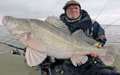 SANDARTPREMIERE 2025 – TIPS & TRICKS