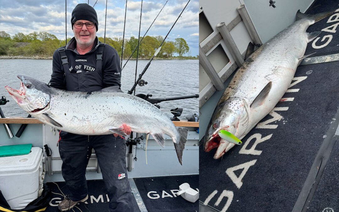Pelle Karlsson med sin fantastiske 20,3 kilos laks på 123 centimeter.