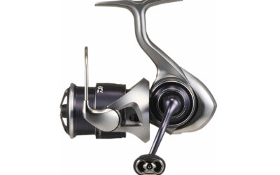 DAIWA: MEGET FOR PENGENE MED DET NYE 25 CALDIA LT