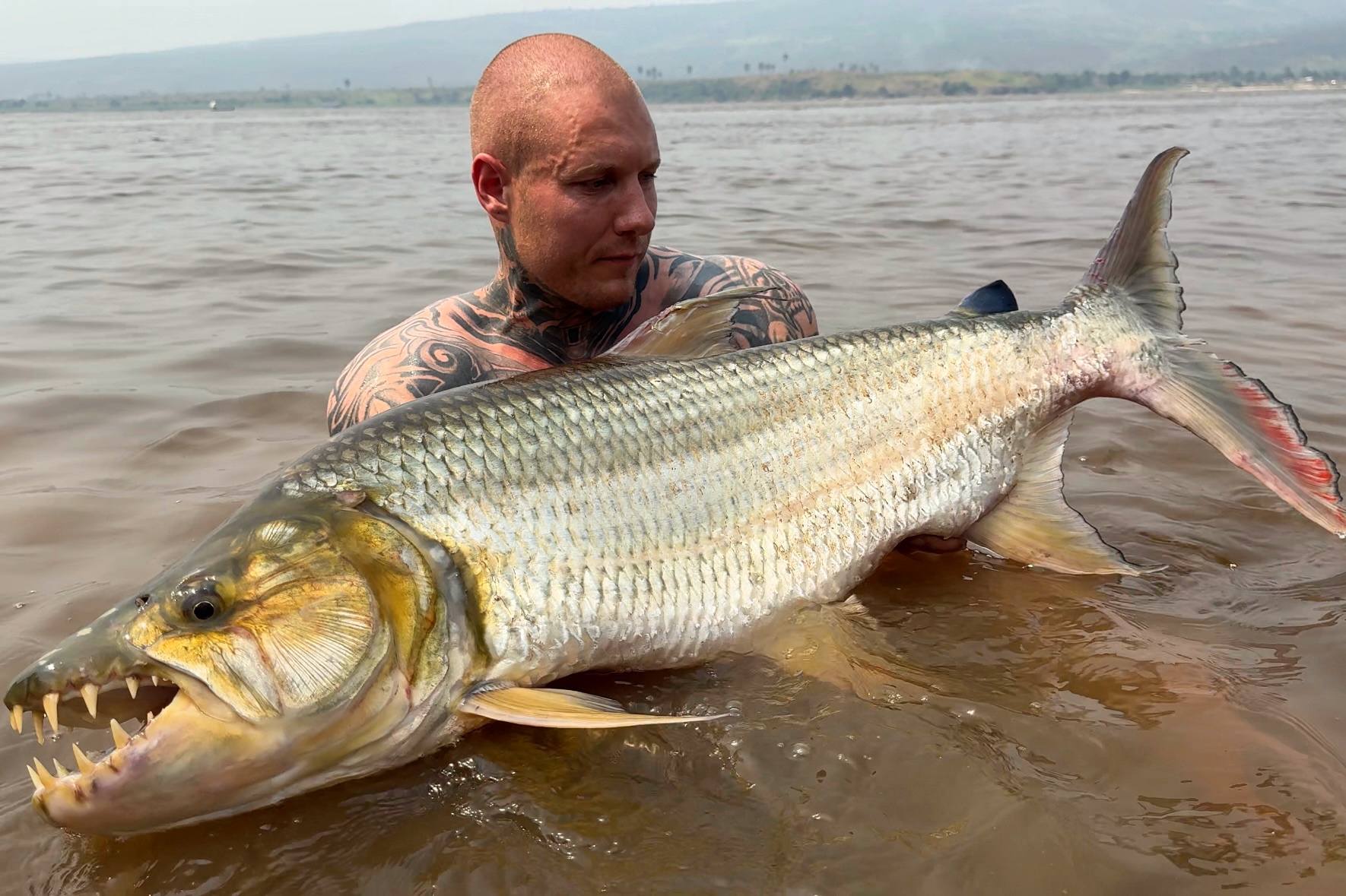 Daniel Stormly med en af sine flotte goliath tigerfish . Danijel Stormly med sin fantastiske 133 cm gedde på 17,6 kilo, der er anmeldt som dansk længderekord.