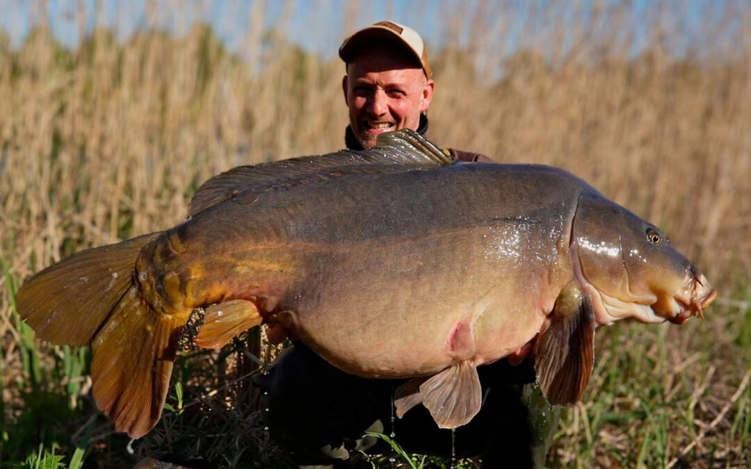 Allan Christiansen med sin potentielle danske rekord for spejlkarpe på 25,95 kilo