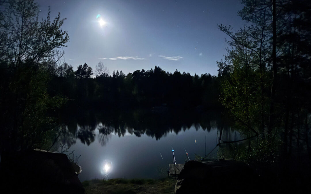 Fiskeriet i de lyste nætter