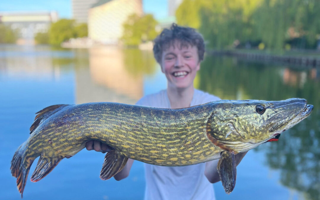 Storm Lippmann fra Fiskeklub København med sin flotte premieregedde på 111 cm fra søerne i København.
