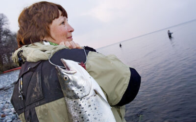 DTU AQUA: FLERE 50 CM+ HAVØRRED PR FISKETIME