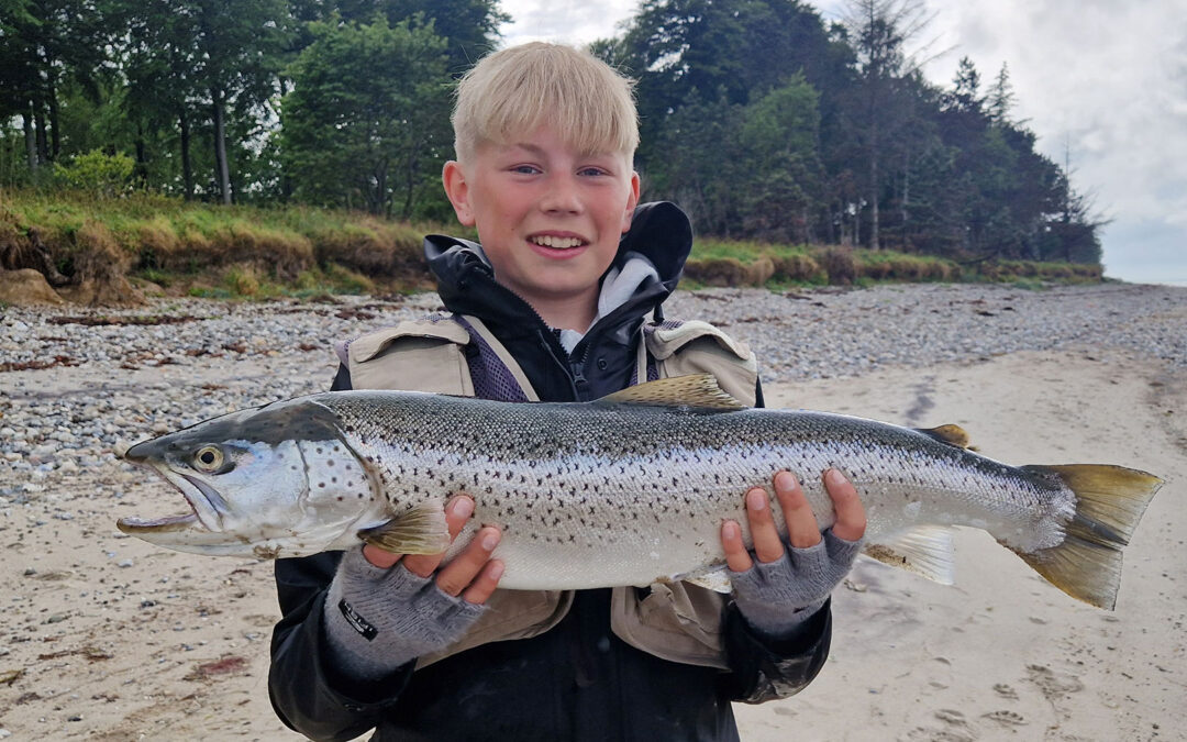 Mikkel Grønvald med sin flotte havørred fra Nordfyn der huggede på bombarda og orm