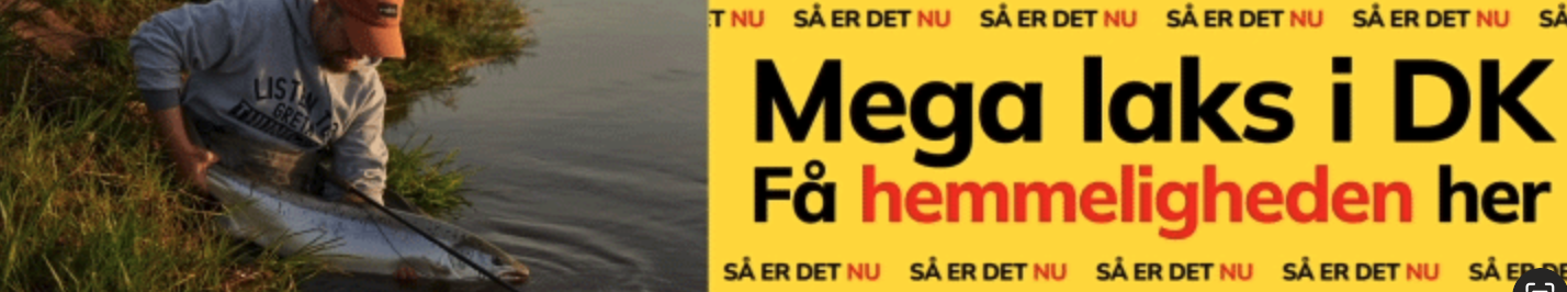 fisketegn