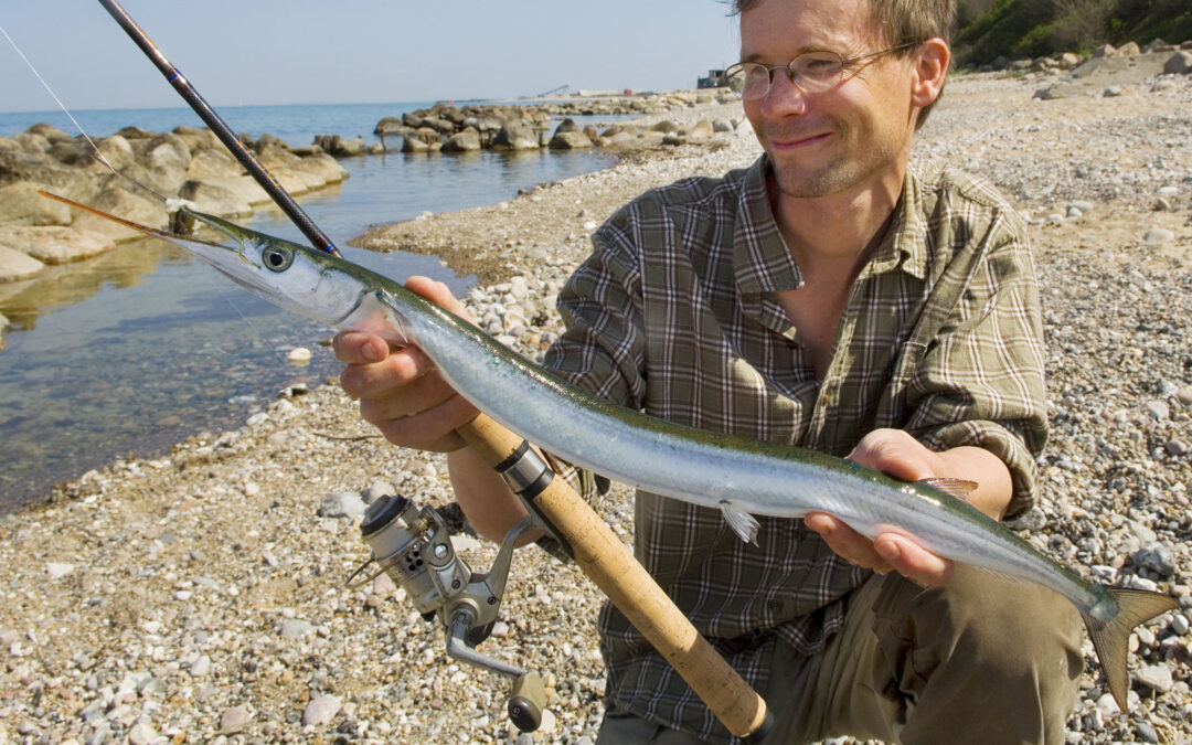 Jens Bursell med hornfisk