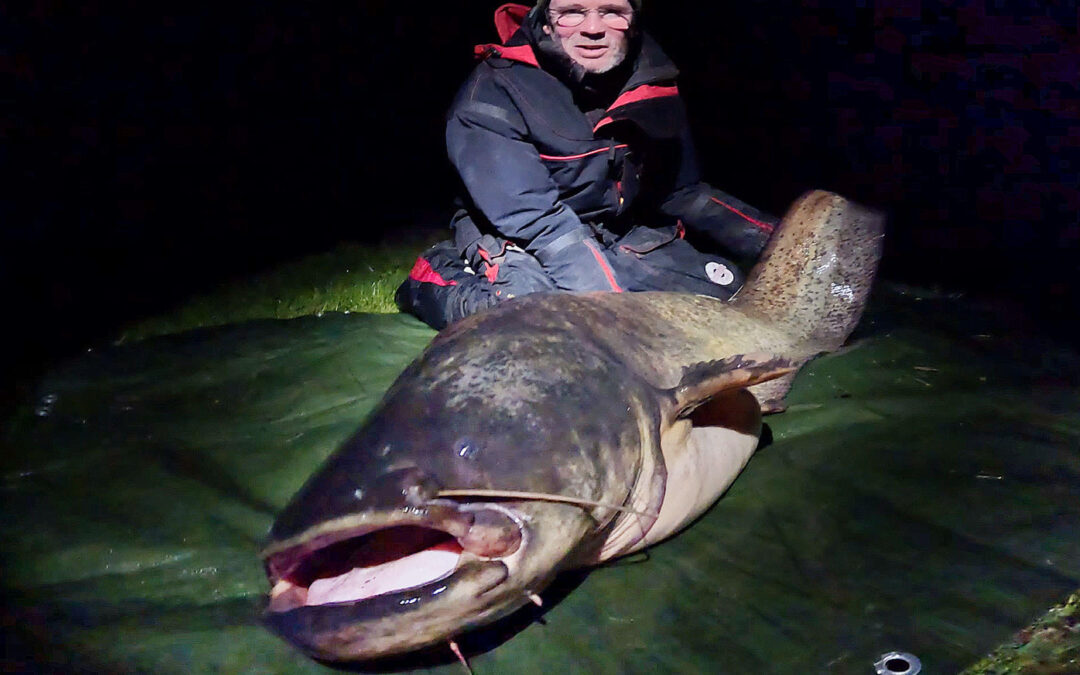 Jens Bursell med sin flotte malle taget på livecast og spin i Drive In Fiskepark