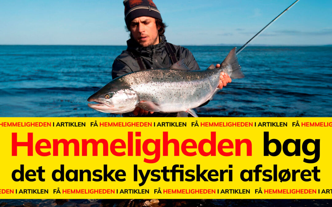 Hemmeligheden bag det danske lystfiskeri - køb fisketegn