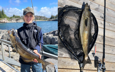 WESTIN CUP 2025: FRA FJORD TIL BORD – EN FANTASTISK FISKEDAG