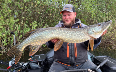 FINE MAJGEDDER PÅ SPIN