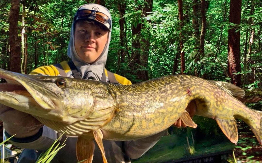 Magnus Jørgensen fra Team Sportex med sin flotte gedde.