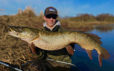 WESTIN CUP 2025: GROV GEDDE NAPPER AGN ISTEDET FOR RIGTIG GEDDE