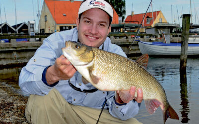 EFTER RIMTER I HAVNEN
