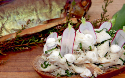 LYNGRØGET ØRRED – SÅDAN GØR DU