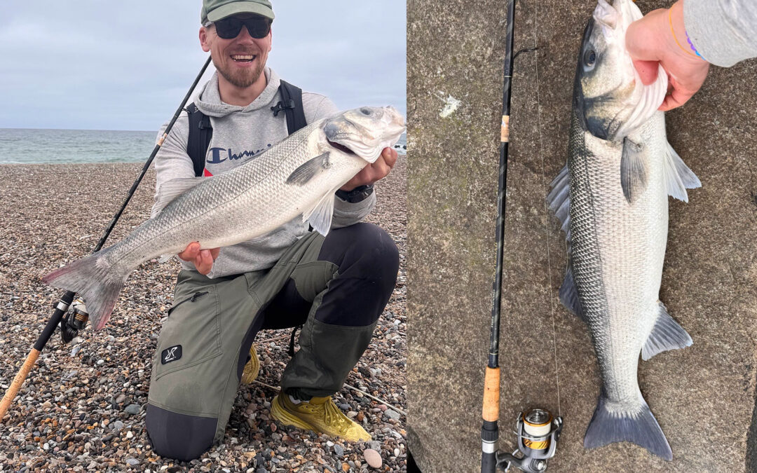 Mikkel Stausholm med sin flotte havbars fra Vestkysten taget på bedstefars gamle stang.