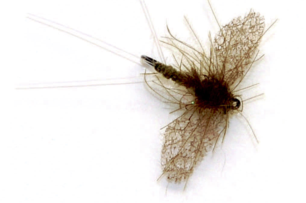En spent spinner med et hackle afspundne CDC fjerfibre. Denne type hackler er mere diskrete en konventionelle tørfluehackler og illuderer bedre det flyvefærdige insekts spinkle ben og diskrete vandaftryk.