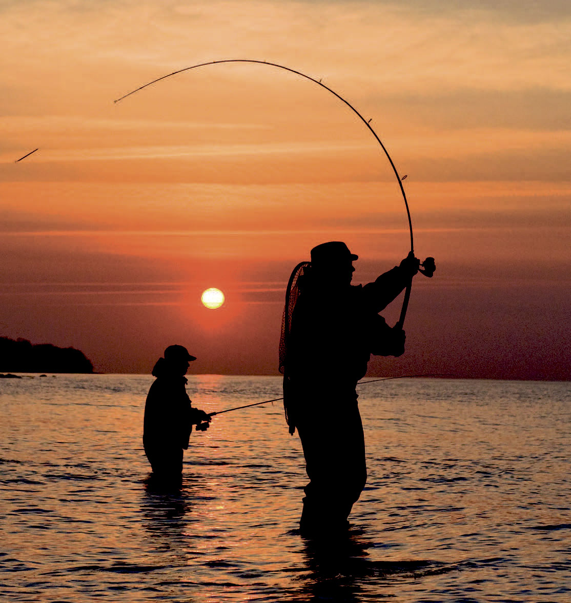 Møns kyster byder på mangegode stenrev, hvor der ikke blot er godt med fisk, men også mulighed for at komme op og stå på en god sten, hvor der er fint udsyn over revet – og eventuelle følgere.