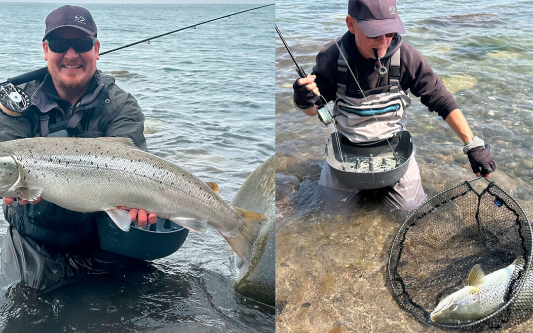 Anders Salling Linde til venstre med sin 6,25 kilo store kystørred fra Møn - og til højre hans far Ken med sin 5,8 kilos fra diste uge. Begge fisk huggede på fluen Vaskebjørnen fisket på fluestangen.
