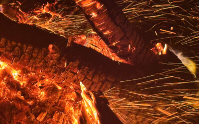 GLÆDELIG MIDSOMMER VED FISKEVANDENE