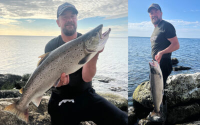 WESTIN CUP 2025: EN MASSIV KYSTØRRED FRA STEVNS