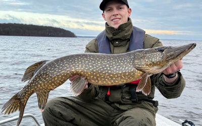 GEDDEFISKERI I SVERIGE: FINE FISK FRA DEN SIDSTE MÅNEDS TID