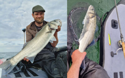 EN FLOT HAVBARS FRA VESTKYSTEN