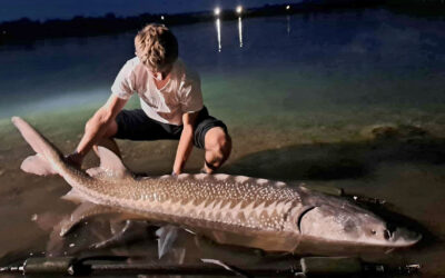 EN FANTASTISK WEEKEND EFTER STØR I NORDVESTSJÆLLANDS FISKEPARK