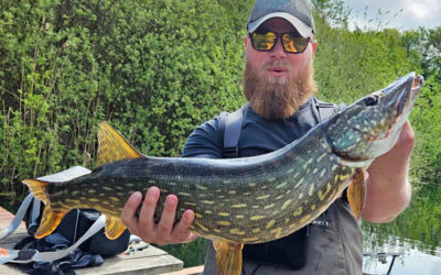 WESTIN CUP 2025: EN FLOT GEDDE MED BID I