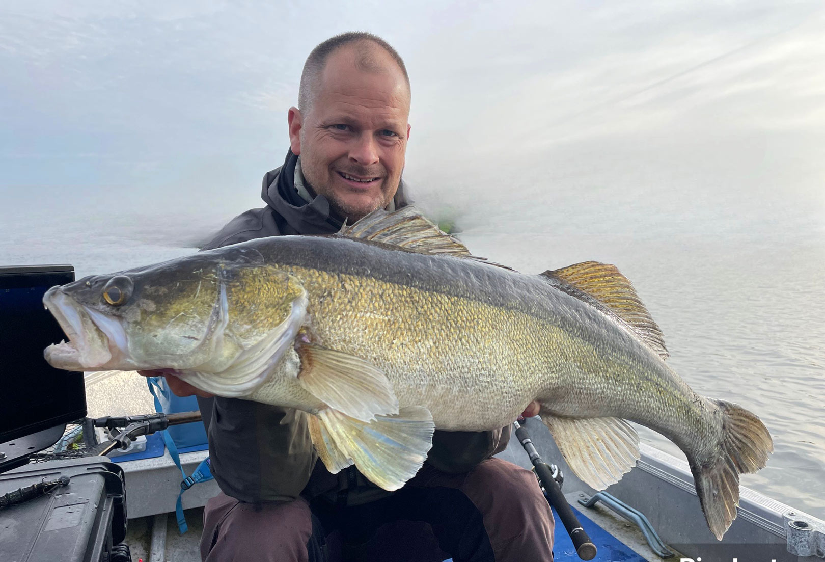 Både Mikkel og Jan har fået flere flotte sandart som disse på deres hjemmelavbede jigs.