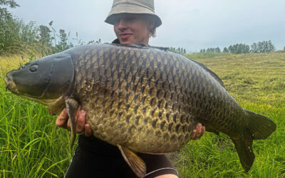 SENSATION I ROSKILDE FISKELAND: FIRE DANSKE 20 KILOS KARPER PÅ ÉN TUR