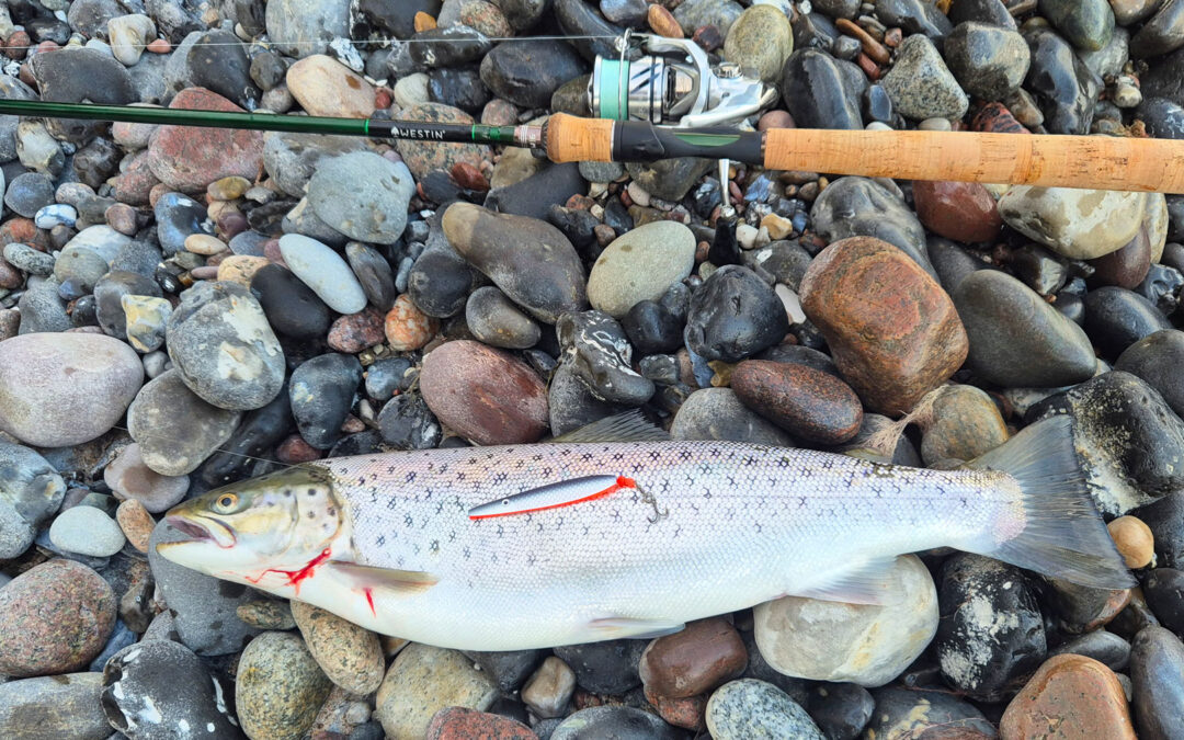 Jonas fine ørred huggede på dette Tornado blink fra Grizzly Lures