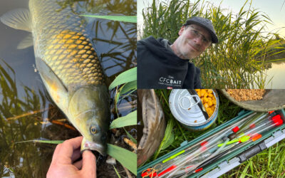 HVERDAGSEVENTYR: EN TILFÆLDIG FISK PÅ EN TILFÆLDIG AFTEN VED EN TILFÆLDIG SØ