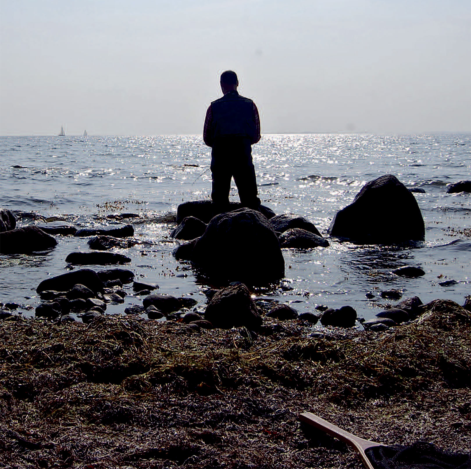 Det lille stenrev på spidsen af Rønshoved er en giftig havørredplads.
