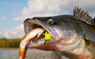 BREAKING: NY FISKERIAFTALE GIR` FORBUD MOD GARN I SØER OG “GAMEFISH-STATUS”