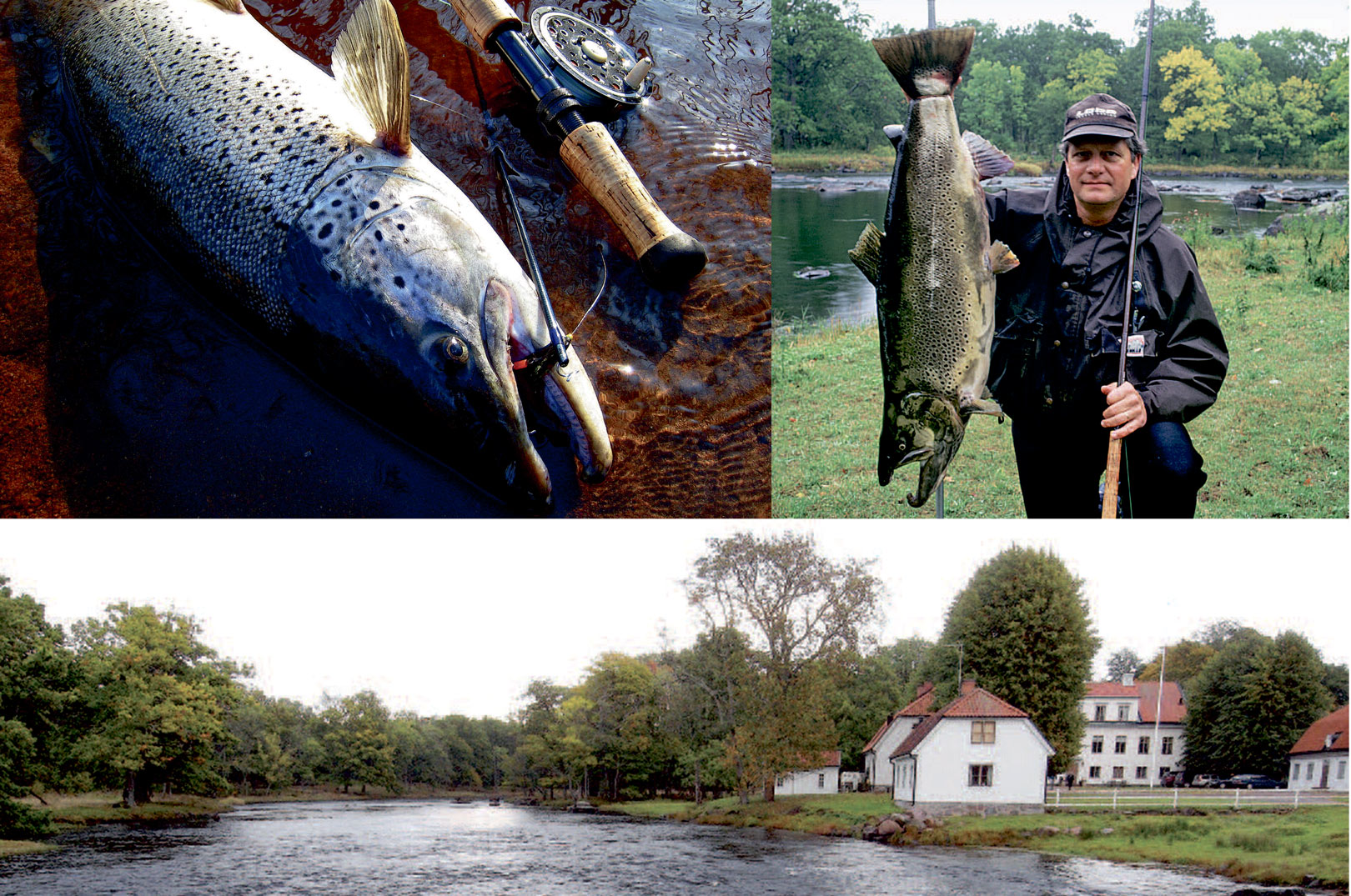 Havørredfiskeri ved svenske Emåen