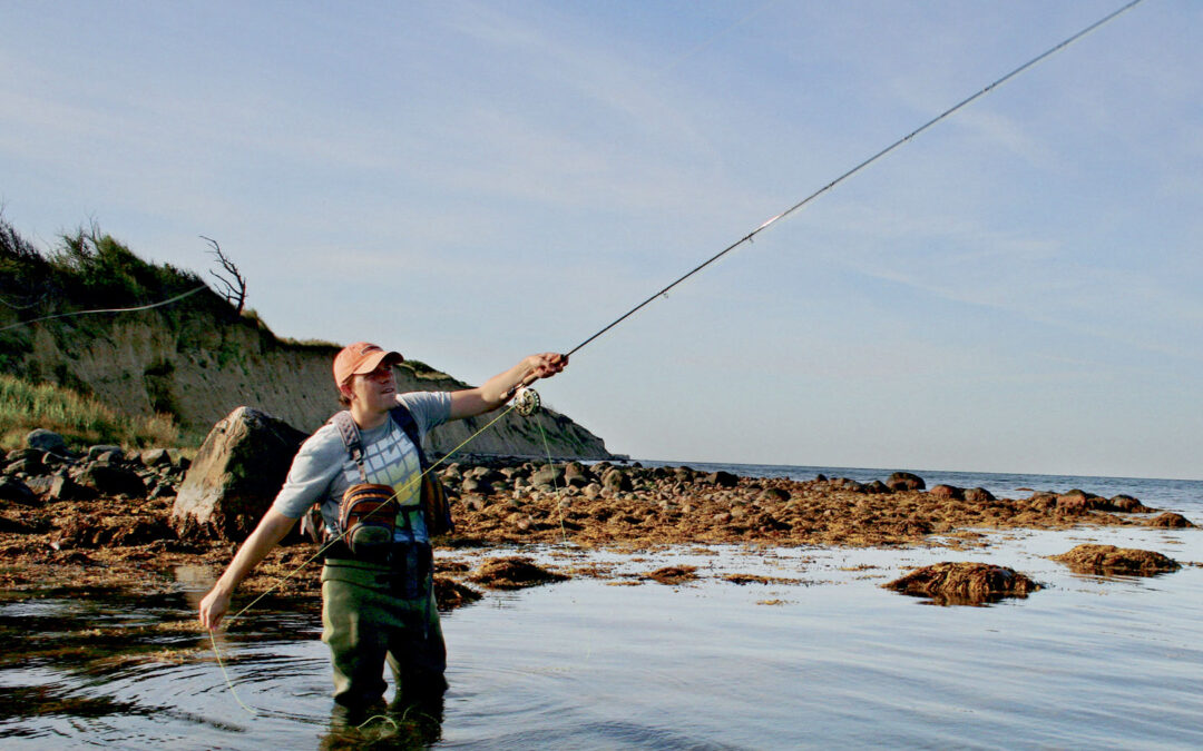 Guide til havørred og fiskepladser på Vestsjælland